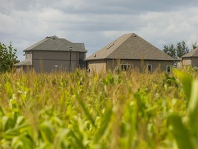 A file photograph from 2013 shows how Strathroy-Caradoc's housing boom is pushiing into adjacent cornfields. A new report to council says the community doesn't have enough land to accommodate Strathroy-Caradoc's expected growth over the next 25 years. Mike Hensen/Postmedia Network