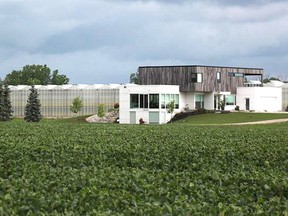 An employee with Roelands Plant Farms, a greenhouse near Forest, has tested positive for COVID-19. Tyler Kula/Postmedia Network