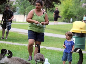 Holly Brodhagen and her daughter, Elsie, 2, find out Canada geese can be aggressive when it's snack time at Bellevue Park on Saturday, Aug. 15, 2020 in Sault Ste. Marie, Ont. Holly and Elsie were visiting Sault Ste. Marie from Bonfield, Ont. Brodhagen's husband, Trevor Muir, is from the Sault. (BRIAN KELLY/THE SAULT STAR/POSTMEDIA NETWORK)