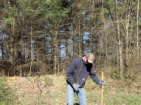 Brody Schoelier of the Ausable Bayfield Conservation tree planting crew helps to improve local forest conditions by planting trees. Handout