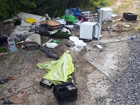 A bear and two cubs were seen in the Duchesnay community on Nipissing First Nation, Tuesday morning, after being attracted by a pile of household waste in the area. The community has since advised residents to report instances of illegal dumping. Supplied photo