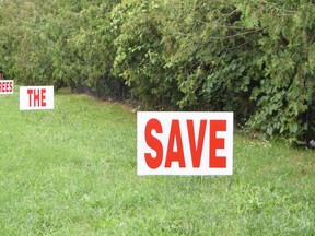 Signs reading “save the trees” line Glengyle Drive in the hopes of keeping the string of cedar trees along the road, which act as a barrier between the road and nearby homes. Dan Rolph