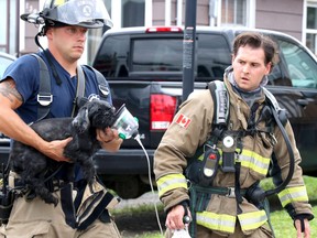 Firefighters help a dog during a fire at 132 McFadden Ave., in Sault Ste. Marie, Ont., on Sunday, Aug. 23, 2020. (BRIAN KELLY/THE SAULT STAR/POSTMEDIA NETWORK)