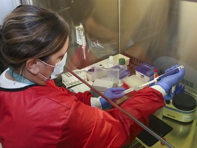 Medical laboratory technologist Danielle Lalonde holds a vial, left, and pipette Tuesday at Belleville General Hospital. New in-house testing for COVID-19 should result in faster delivery of results.