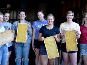 Huron Honey members stand with slats from the beehives from which they extracted honey from on Aug. 11. Daniel Caudle