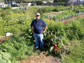 Derwyn Armstrong, 65, has been named Citizen of the Year for 2020 by the Chatham-Kent Chamber of Commerce for his work in establishing the community garden program that began in 2007. Ellwood Shreve/Postmedia Network