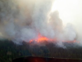 A recent forest fire study suggests that suppressing all forest fires puts communities near wooded areas at greater risk.  PHOTO SUPPLIED.