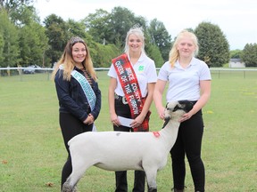 Participating in the 2019 edition of the Chesley Fall Fair was Rylee Priddle of Eugenia (right). She won the senior market lamb category. She’s shown with Chesley Fall Fair Senior Ambassador Taiya Wray and Allison Pepper, Bruce County's 2019 Queen of the Furrow. File photo/Postmedia Network