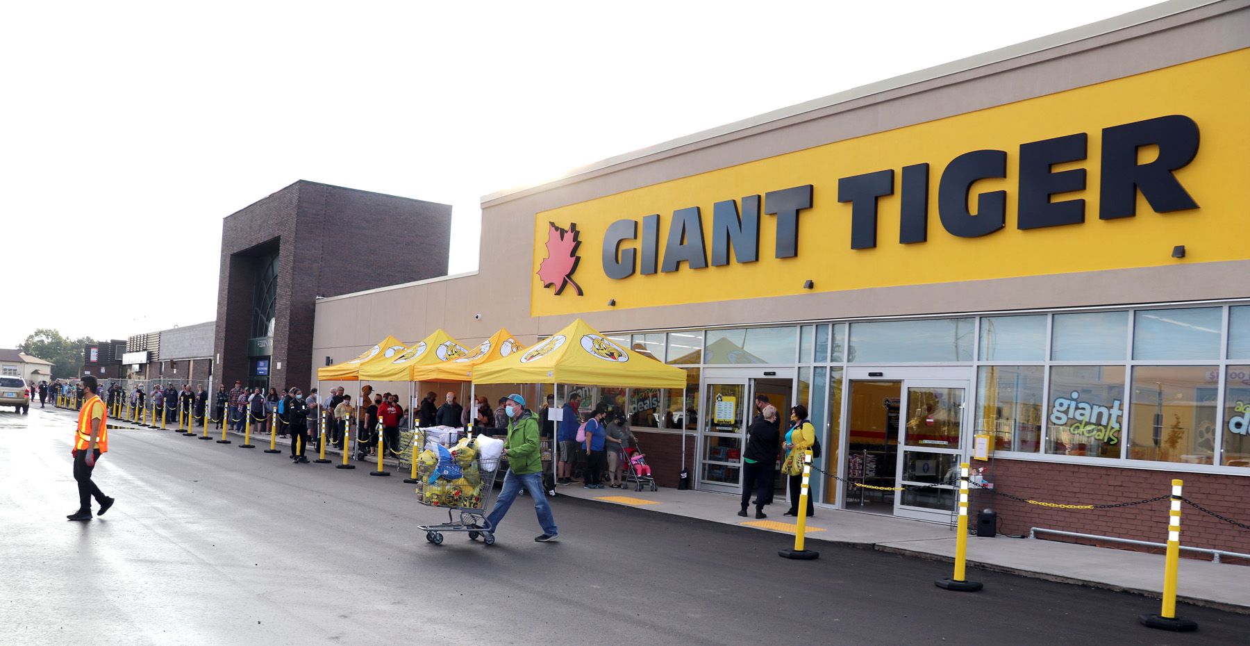 Giant Tiger plans Market Mall location