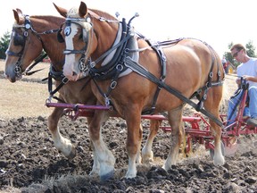 Jake Douglas of Alvinston competed in the Lambton County Plowing Match in this file photo from 2012. This year's edition of the march has been cancelled and celebrations marking the event's 100th anniversary have been postponed to 2021. File photo/Sarnia This Week
