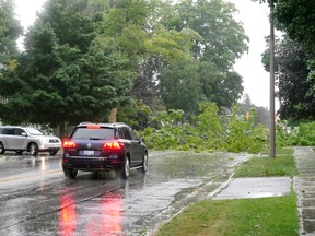 Broadway in Tillsonburg at Bear Street was blocked last Thursday when a portion of a tree came down during a windstorm. There were no injuries reported. (Chris Abbott/Norfolk Tillsonburg News)