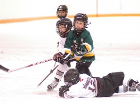 Minor hockey players will likely be able to return to the ice in Wallaceburg in September, but the game will be played much different. Photo is from 2012. Courier Press photo