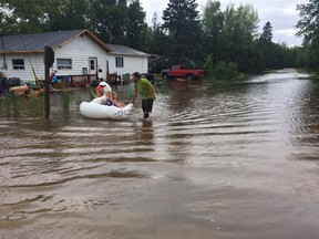 Adam Holt pushes three of his children on a swan floatie down a flooded McKenzie Street near his Oliphant home Sunday. SUPPLIED