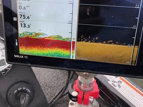 Combining traditional 2D sonar with Down-Imaging helps distinguish what you're electronics are telling you.  That is a school of walleye on Lake of the Woods from a few days ago.