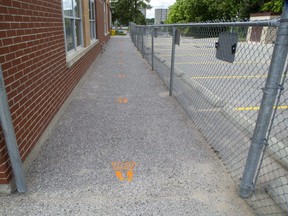 Stencils markings placed two metres apart indicate where students at Eagle Heights Public School should stand when lined up. (Derek Ruttan/The London Free Press)