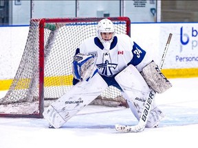 Anson Thornton was picked third overall by the Sarnia Sting in the 2020 Ontario Hockey League under-18 draft. (Sarnia Sting Hockey Club)