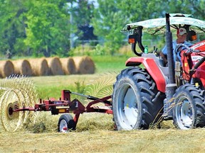 A farmer along Highway 2 east of Belleville cuts hay last week. Eastern Ontario farmers are facing a shortage after problematic weather in spring and early summer. 
Derek Baldwin