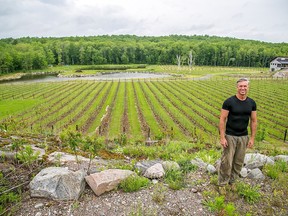 Sandor Johnson, owner of Potter Settlement Artisan Winery, received $100,000 from the federal government's Canadian Experiences Fund to help enhance culinary tourism experiences, expand their product offerings and support local jobs.
TIM MILLER FILE PHOTO