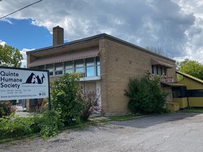 The Quinte Humane Society's campaign for a new building has been placed on hold due to the COVID-19 pandemic. Fundraising and meeting with potential donors is too challenging at this time to pursue the campaign, officials said.
VIRGINIA CLINTON