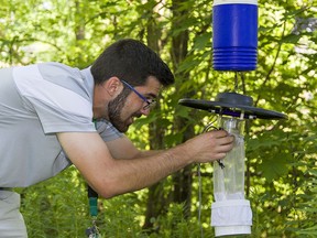 Michael Smigelsky, a West Nile Virus technician with the Brant County Health Unit sets a mosquito trap in St. George on Monday.