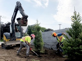 Osama Awada, foreground left, and Mohammad Dwaydar, of the firm UCC, plant a pine by the outer wall of the new Brockville General Hospital building on Monday afternoon while Adelino Reis operates the tractor. (RONALD ZAJAC/The Recorder and Times)