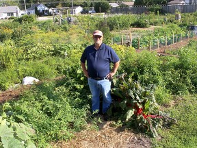 Derwyn Armstrong, 65, has been named Citizen of the Year for 2020 by the Chatham-Kent Chamber of Commerce for his work in establishing the community garden program that began in 2007. Ellwood Shreve/Chatham Daily News/Postmedia Network