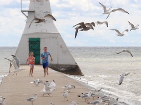 Blenheim residents Maddy Easter, 7, and her brother Ben, 11, were having fun chasing the seagulls off the lighthouse pier at Erieau on Saturday, Aug. 29, 2020 while out enjoying the beach with their parents. (Ellwood Shreve/Chatham Daily News)