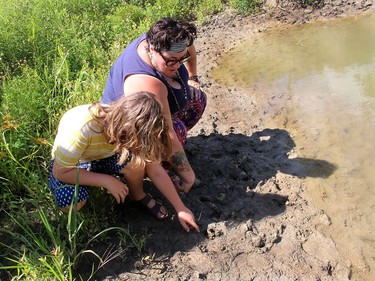 Elizabeth Downey- Sunnen and her son Milo, 9, look at some deer tracks near a wetland that is part of the 78-acre Freedom Collective school, opening in September, that focuses on learning outdoors. Ellwood Shreve/Chatham Daily News/Postmedia Network