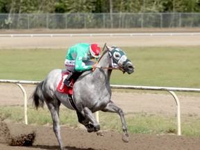 Ricardo Moreno pilots two-year-old Fight Club to his first victory, in his second start, in the John Deer Juvenile Challenge at Evergreen Park last Saturday afternoon. The colt joins an impressive list of Charles Stojan-owned quarter horses looking for international success in short-distance racing