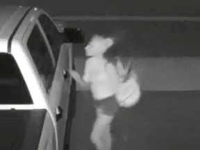 One of three women captured on surveillance video checking if a pickup truck's doors were unlocked during the early morning hours of Sunday in Kingston. Kingston Police said numerous vehicles were checked, one was unlocked and a wallet was stolen. (Supplied Photo)