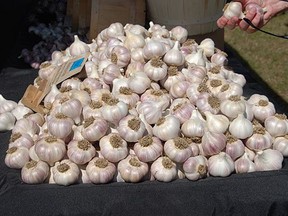 The Verona Lions Annual Garlic Farmers Market will take place at the Verona Lions Club facility at 4504 Verona Sand Rd. on Saturday, Sept. 5. (Supplied Photo)