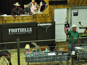 Rob Bergevin of Stavely's Foothills Auctioneers auctioned off items Aug. 7 for Janet and Roland Sippola, whose ranch west of Nanton was hit by a tornado on July 12. The tornado did extensive damage to a barn, partially ripped off the roof of a wooden granary and flattened a steel metal shop. The benefit auction raised about $50,000.