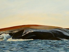 Resilience -- Georgian Bay, is an example of Jay Favot's work. Supplied