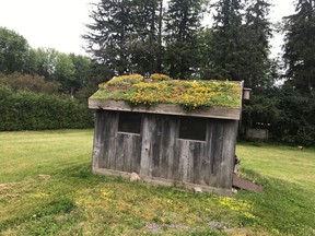 Green roofs absorb enormous amounts of water, cool the area beneath, and divert heavy rain away from the storm water sewers. Supplied