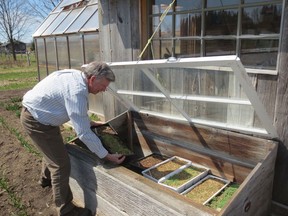 Cold frames sit on the ground with a slightly elevated piece of glass angled towards the south to catch sunlight, creating a mini greenhouse. Supplied