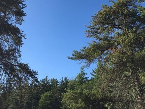 An OPP helicopter circles over the campsite on Grace Lake, in Killarney Provincial Park, where a previous camper found possible human remains. Alyssa Short/For The Sudbury Star