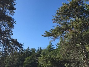 An OPP helicopter circles over Grace Lake in Killarney Provincial Park in August. On Wednesday a similar chopper was used to rescue a hiker who injured their ankle near Three Narrows Lake in the park.