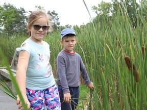 Maya Gilchrist, 8, and her brother, Evan, 5, went on a nature walk with family at Fielding Memorial Park in Greater Sudbury, Ont. on Tuesday August 25, 2020.