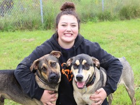 Kirsten Pereira, of Pet Save Sudbury, snuggles with Shadow, left, and his brother, Buddy, at Pet Save Sudbury in Lively, Ont. Pet Save is looking for a home for both dogs, preferably together, because they have formed a tight bond. The animals can be adopted separately, as long as the family already has another dog. For more information, call 705-692-3319.