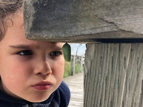 Éloïse Lesbarrères of Sudbury examining a monarch chrysalis under the hand railing on the Providence Bay boardwalk. Joe Shorthouse.