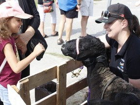 Ella-Rose Dallaire, 6, is invited by Alyssa McKean, one of the directors with the Timmins Fall Fair, to pet one of the sheep that were on display during the Mountjoy Farmers' Market on Saturday.

RICHA BHOSALE/The Daily Press