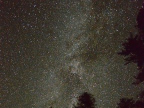 A long-exposure photo shows the Milky Way filling the sky above a pine forest in Northeastern Ontario.