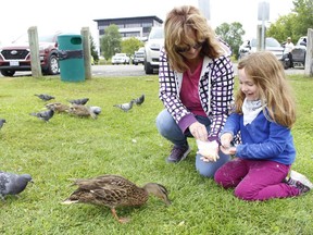 Lilah Moffat, 5, was with her grandmother, Kim Meunier, at Gillies Lake on Thursday afternoon. enjoying the outdoors and spending some time feeding the ducks and pigeons.

RICHA BHOSALE/The Daily Press