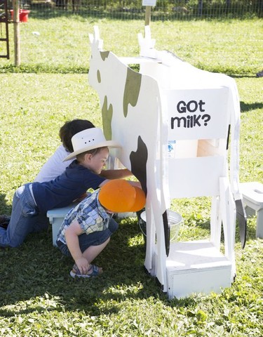 A popular activity for visitors at Blue Ridge Farms was to try the cow milking simulator. 
Brigette Moore