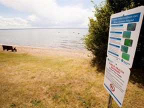 A blue-green algae (cyanobacteria) bloom has been identified in areas of Pigeon Lake.