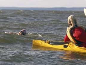 Hamilton, Ont., marathon swimmer Marilyn Korzekwa swims through the Manitou Islands, Wednesday, during her attempted 28-kilometre journey from the French River to North Bay. Michael Lee/The Nugget