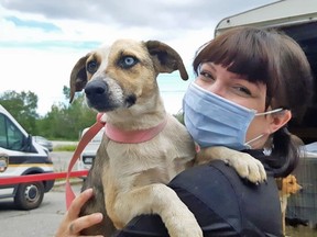 Natasha Straiton, the administrative assistant at the North Bay and District Humane Society, holds Doria. The shelter has almost reached its goal of $1 million to build an adoption centre, which will house healthy dogs and cats. Currently all services provided by the humane society are under one roof and all available office space has been turned into rooms to house cats.
Jennifer Hamilton-McCharles