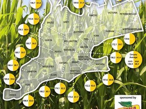 Great Lakes Grain's crop tour results for southwestern Ontario counties. (Great Lakes Grain)