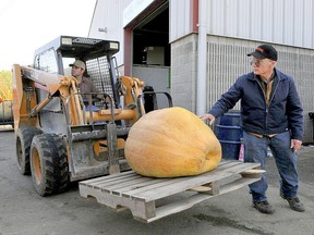 This October’s Norfolk County Fair has been cancelled. But the fair’s garden products committee has agreed to hold a special weigh-off in October for producers of giant pumpkins and squash. The weigh-off is for fun, with no prize money on offer. File photo/Postmedia Network