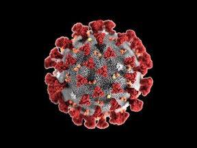 COVID-19 virus